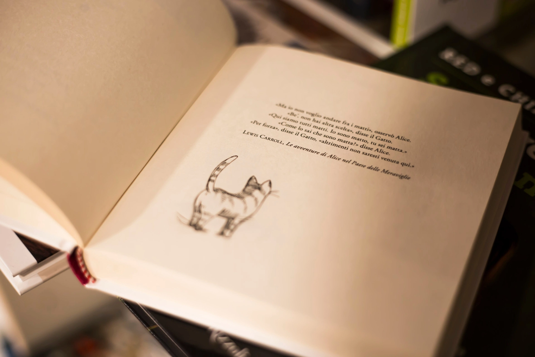 dettaglio libro